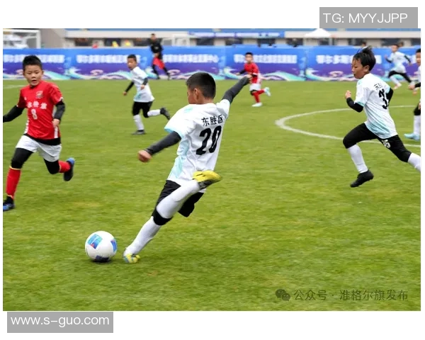 足球明星的精彩瞬间与生活点滴分享,带你领略绿茵场上的激情与梦想